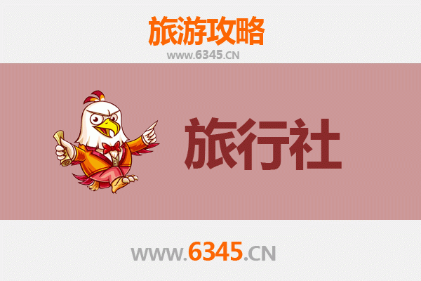 庆阳西峰本地旅行社推荐及深度游玩攻略